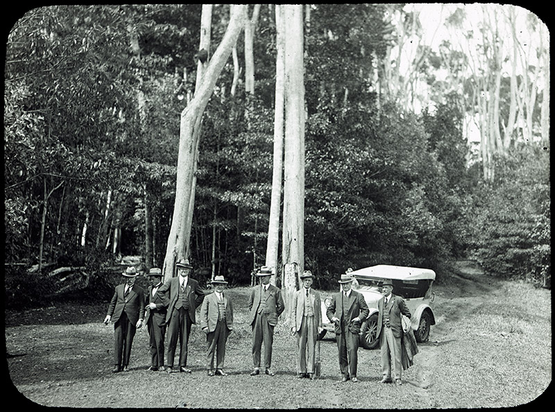 53 - 50. Lake Eacham.jpg - 53 - Lake Eacham